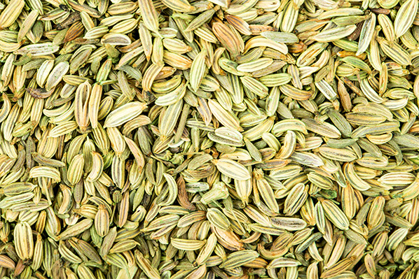 fennel seed