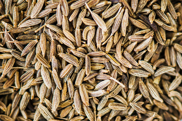 cumin seed