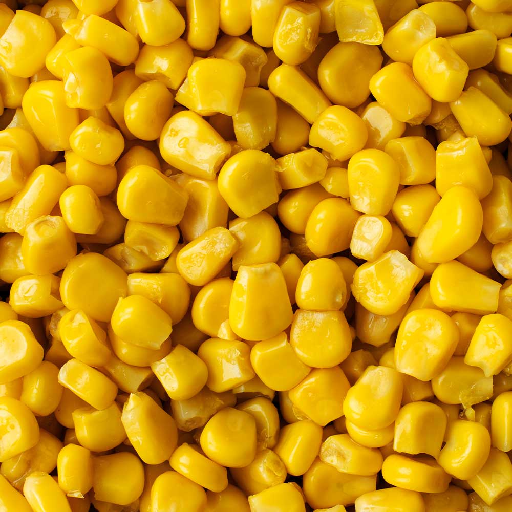 Frozen Corn Kernels from India